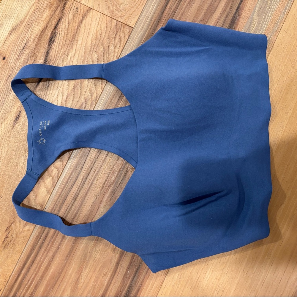Blue Aerie Offline Sports Bra